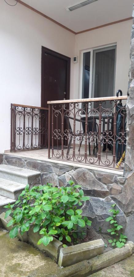 Ira & Vaso'S Guest House Borjomipark Bagian luar foto