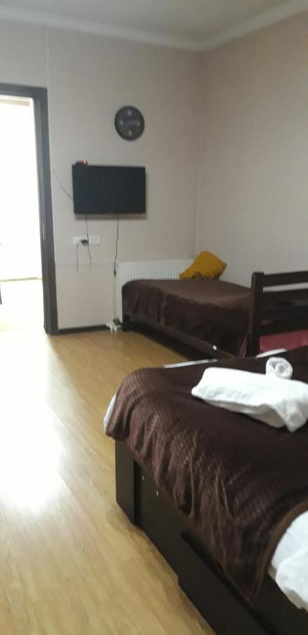 Ira & Vaso'S Guest House Borjomipark Bagian luar foto