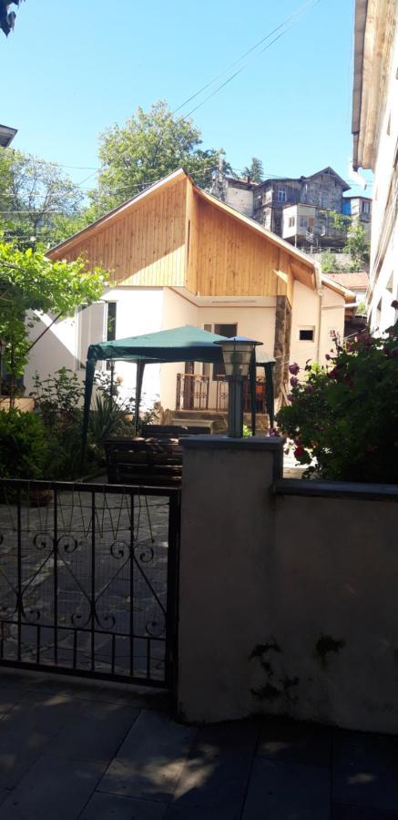 Ira & Vaso'S Guest House Borjomipark Bagian luar foto